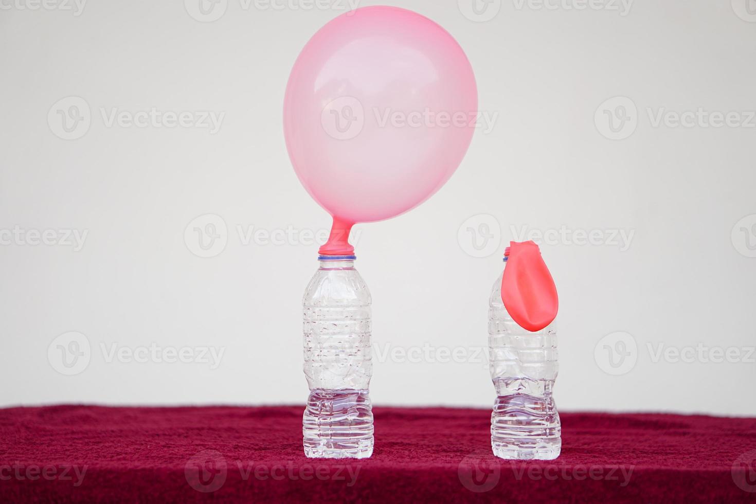 Science experiment , pink inflated balloons and flat balloon  on top of transparent test bottles. Concept, science experiment about reaction of chemical substance, vinegar and baking soda. photo