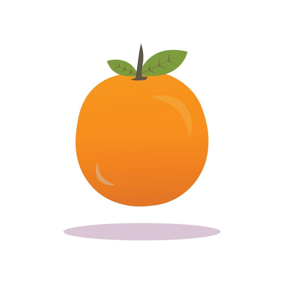 Fresco naranja mano dibujar ilustración vector