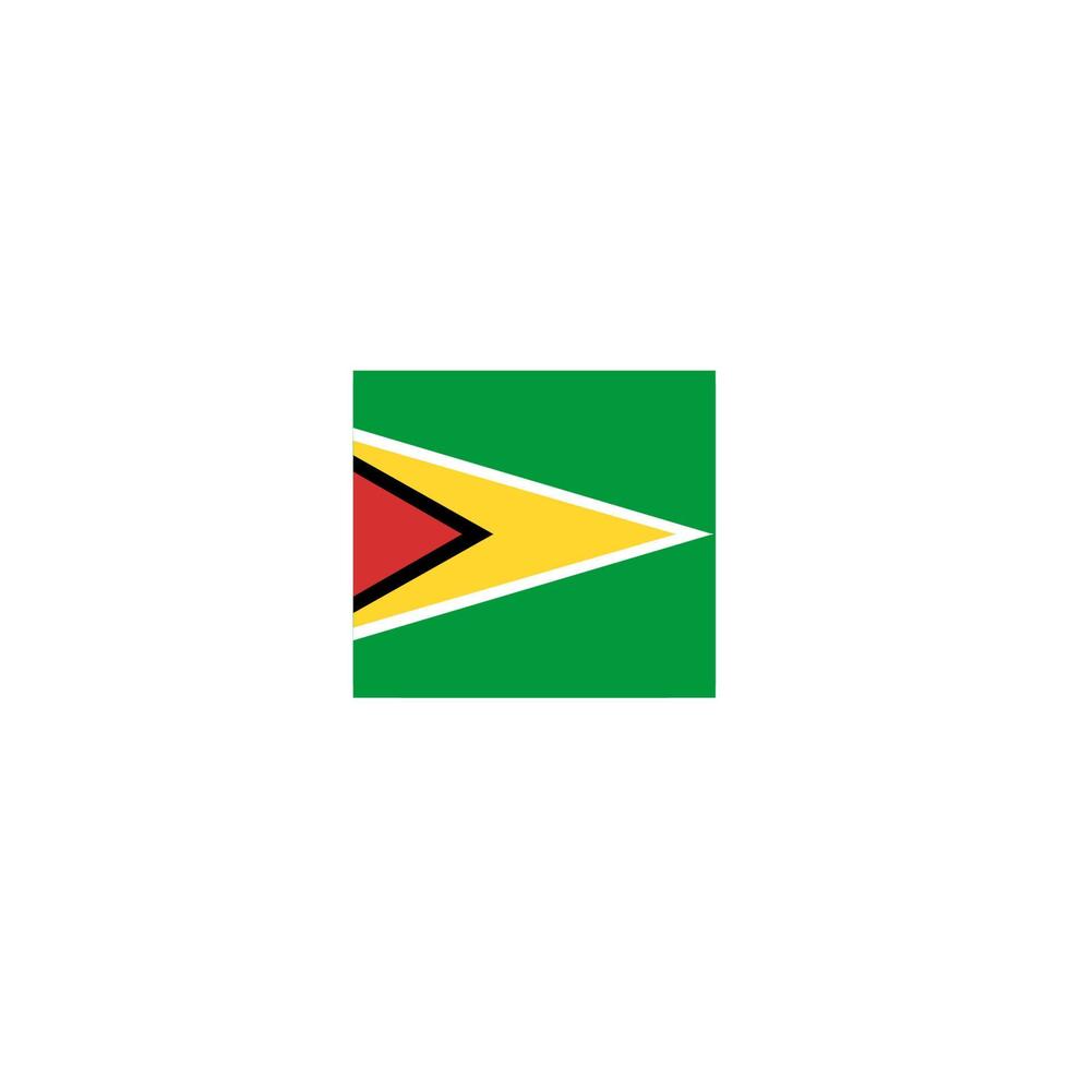 Guyana flag icon, illustration of national flag design with elegance concept, perfect for independence design vector