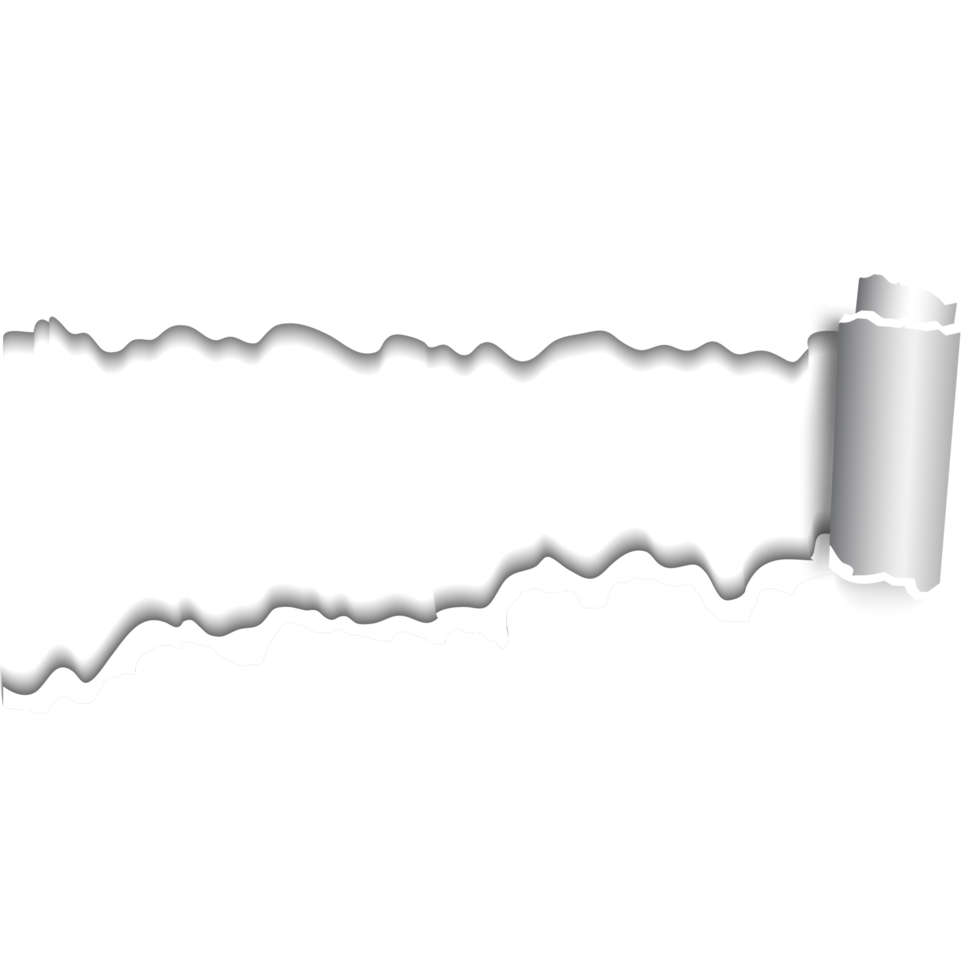 Realistic Paper Torn With Rolled Edge png