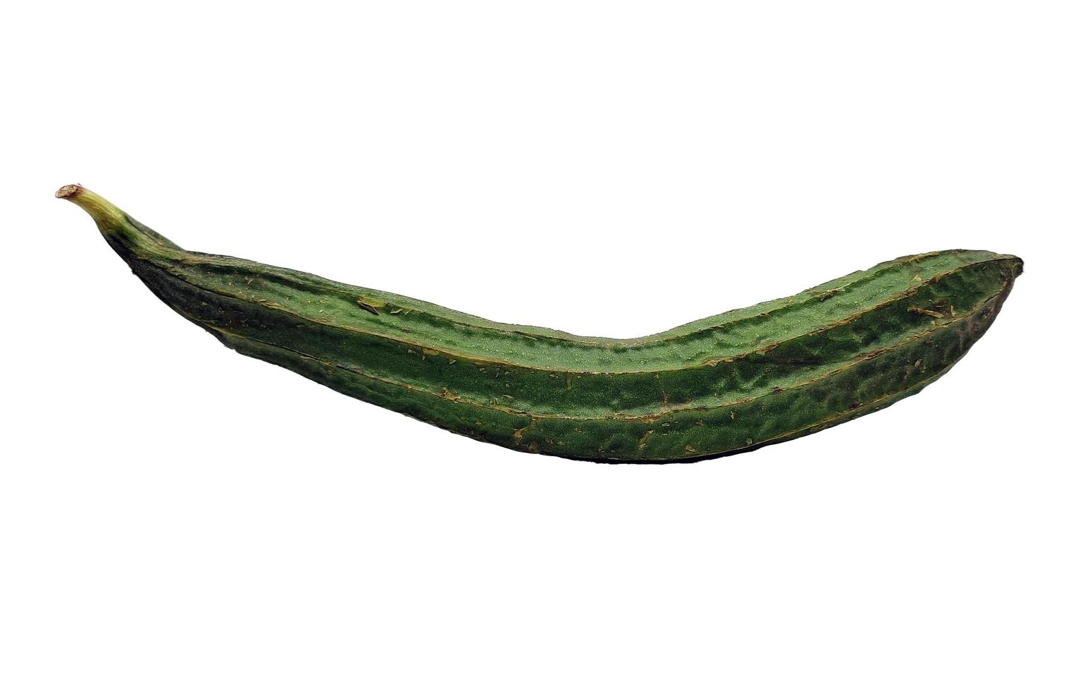 Green Luffa acutangula or Oyong  isolated on white background photo