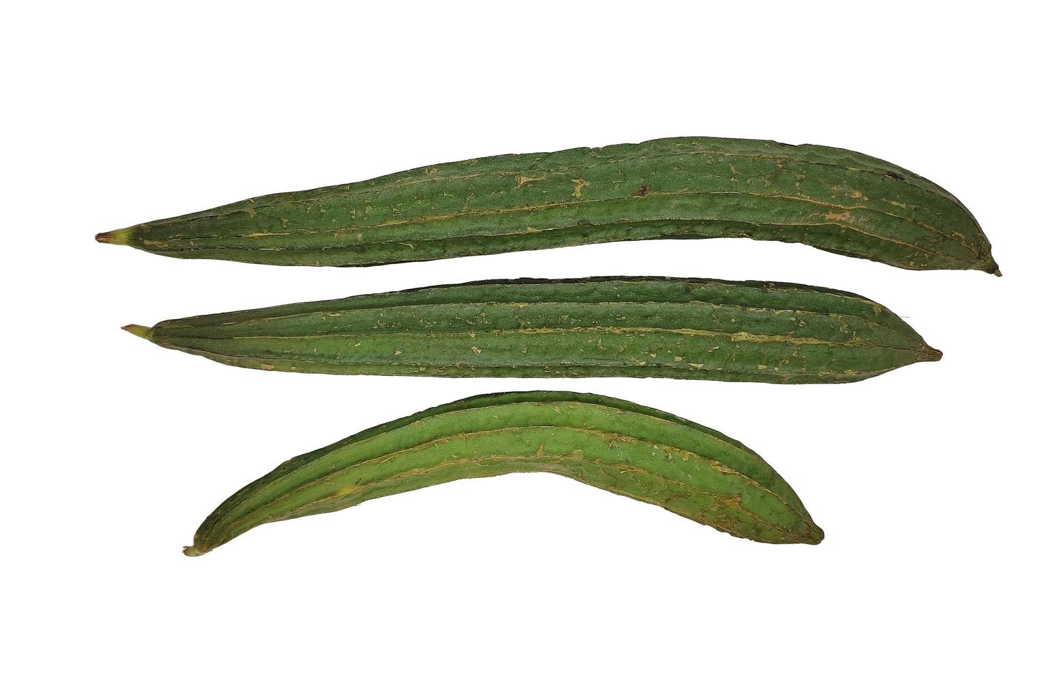 Some green Luffa acutangulas or Oyong isolated on white background photo