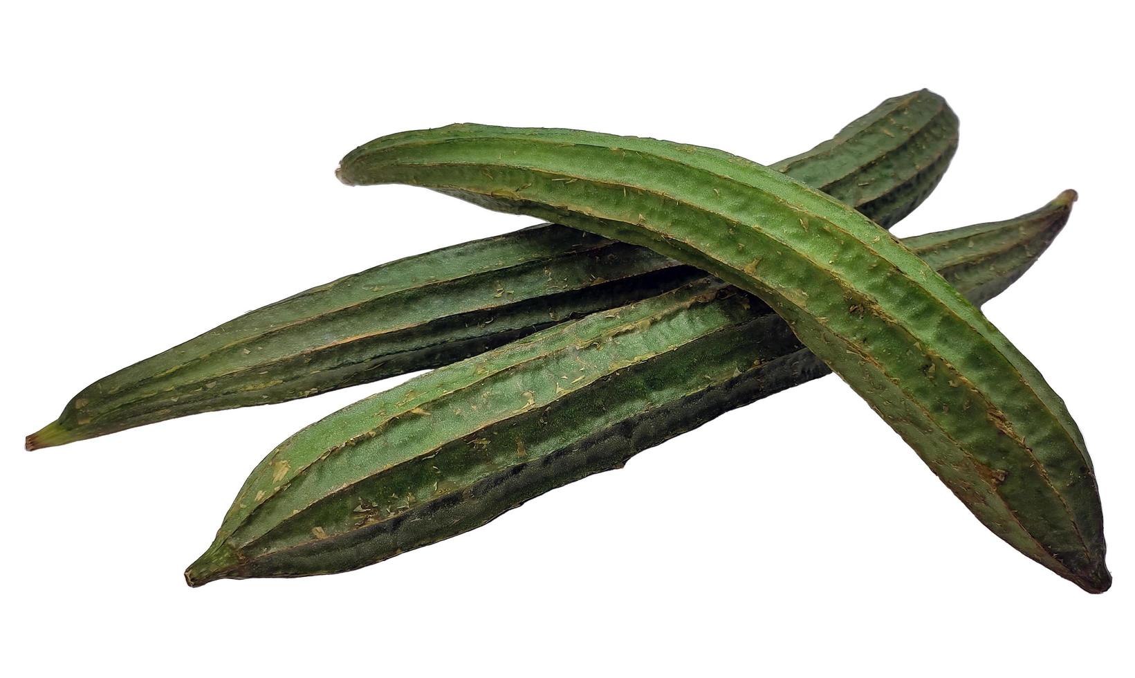 Some green Luffa acutangulas or Oyong isolated on white background photo