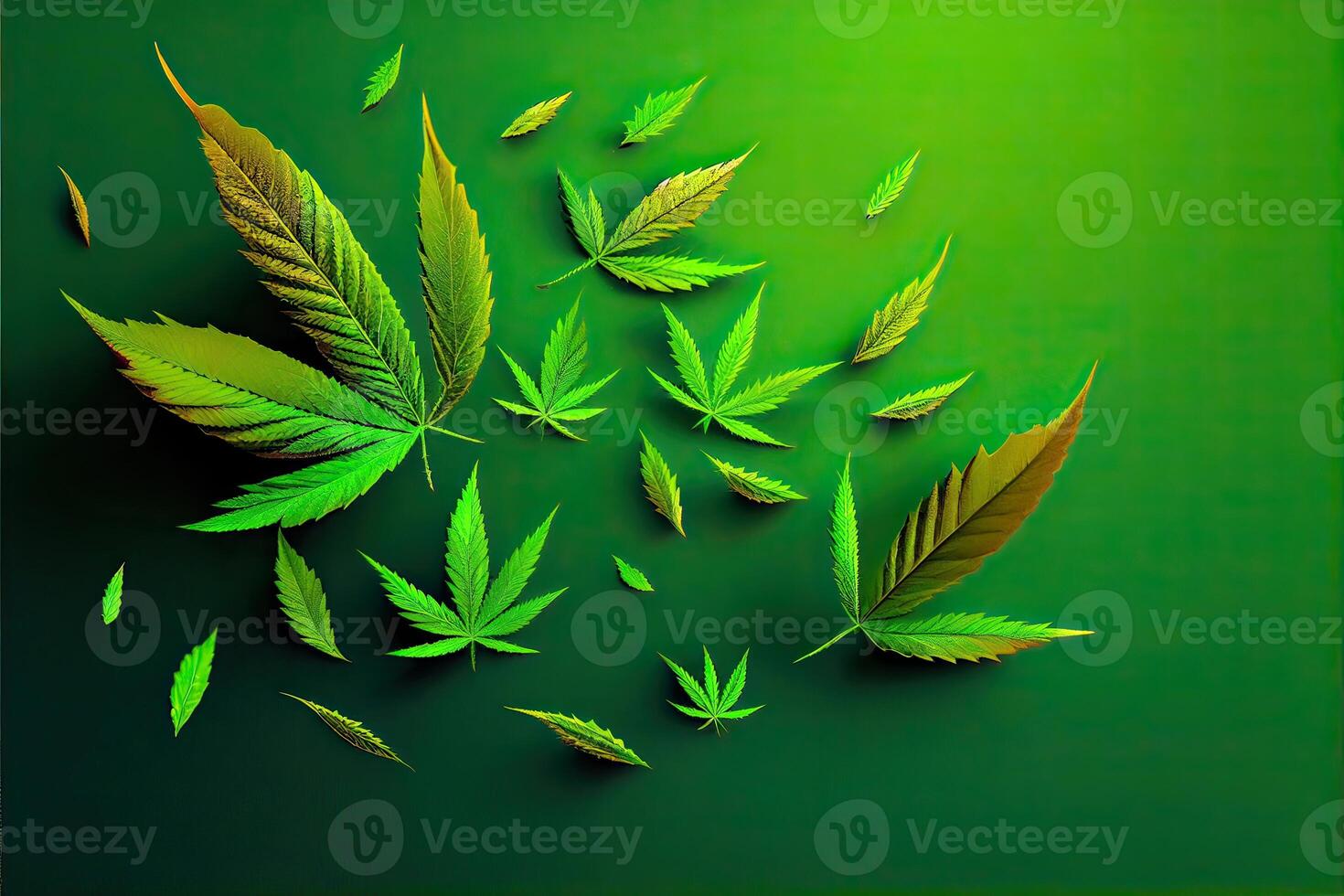 Cannabis or Marijuana background. Realistic illustration of the plant in top view on white background. Cannabis Green abstract background. . photo