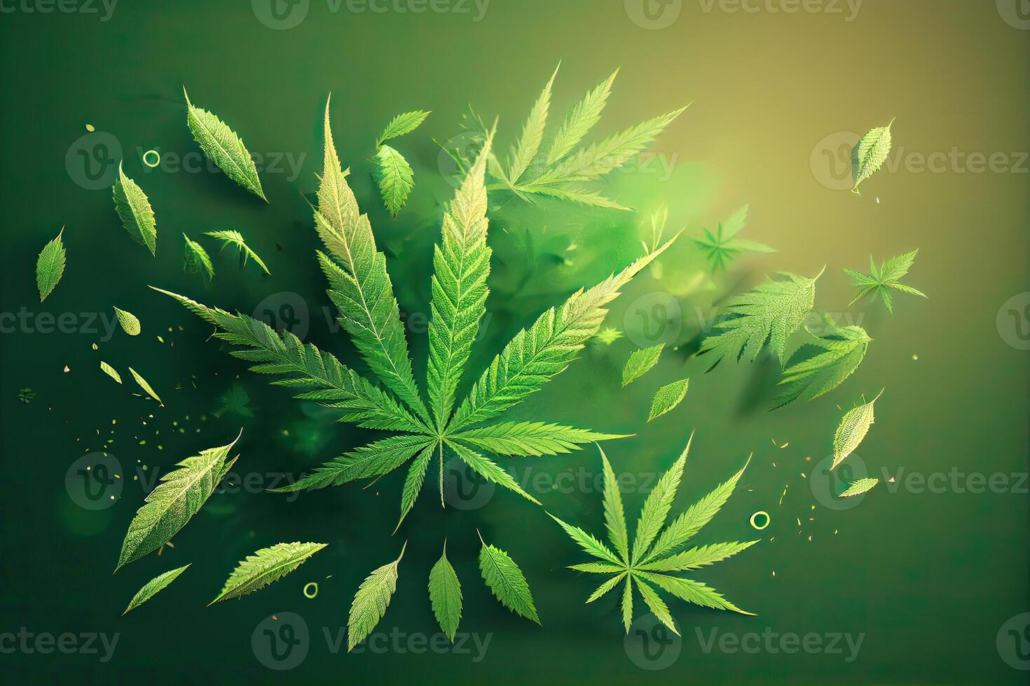 Cannabis or Marijuana background. Realistic illustration of the plant in top view on white background. Cannabis Green abstract background. . photo