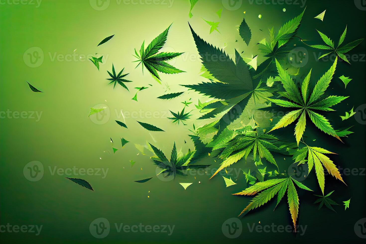 Cannabis or Marijuana background. Realistic illustration of the plant in top view on white background. Cannabis Green abstract background. . photo