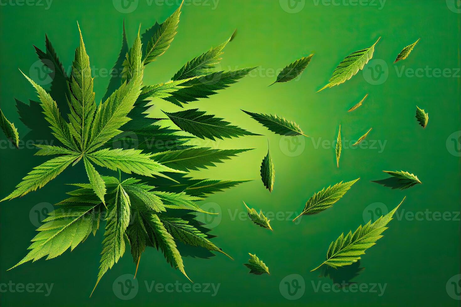 Cannabis or Marijuana background. Realistic illustration of the plant in top view on white background. Cannabis Green abstract background. . photo