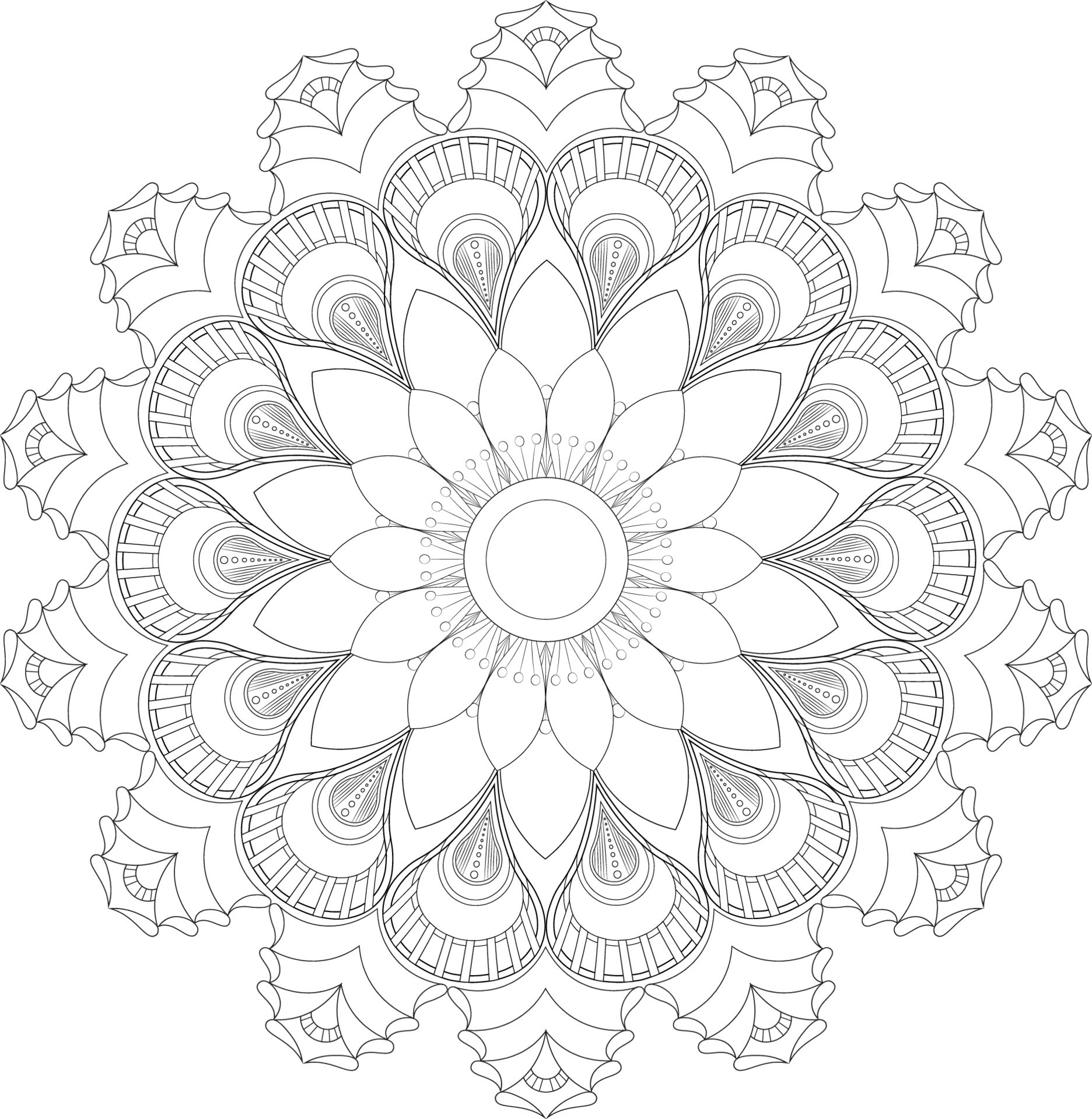 vector-drawing-for-coloring-book-geometric-floral-pattern-contour