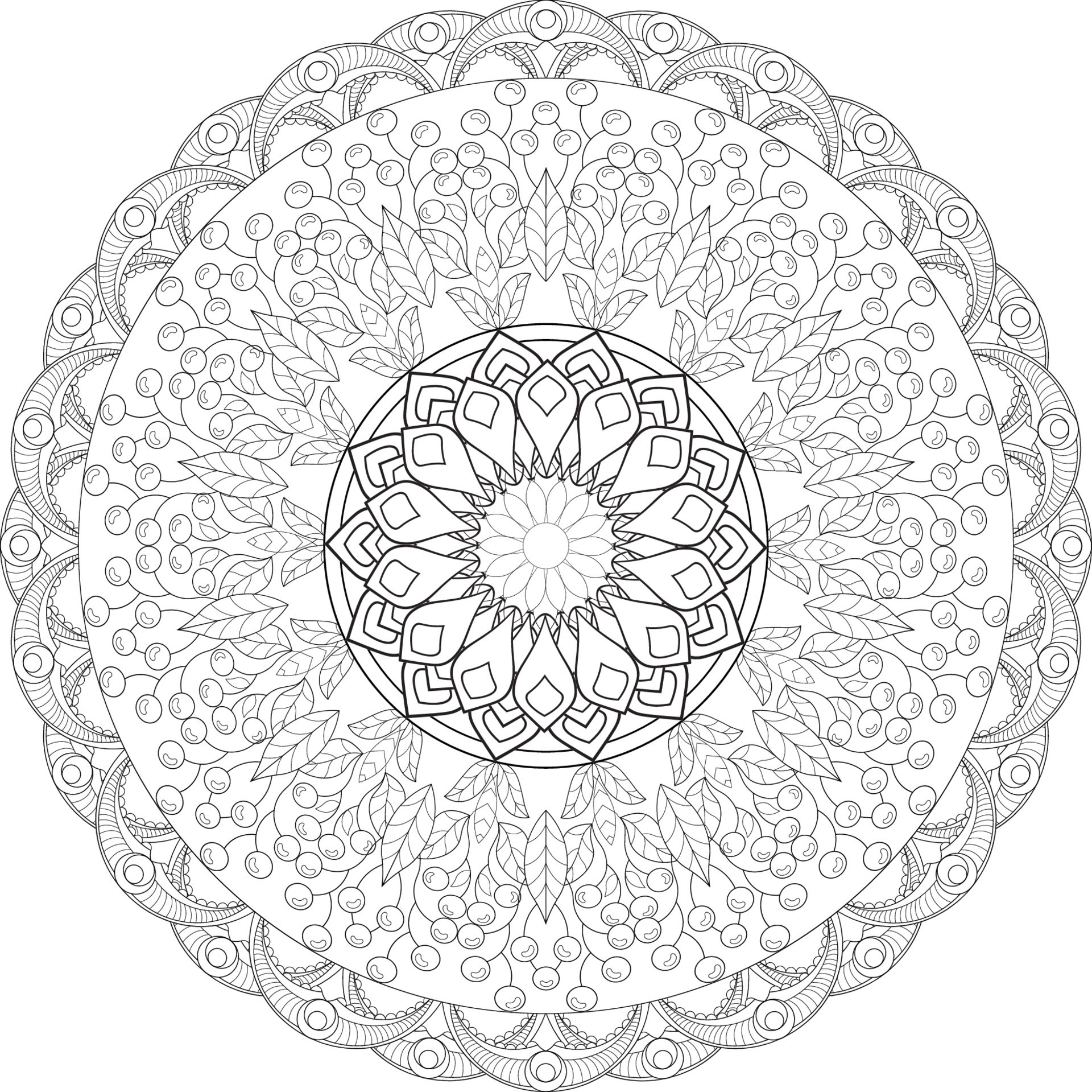 vector-drawing-for-coloring-book-geometric-floral-pattern-contour