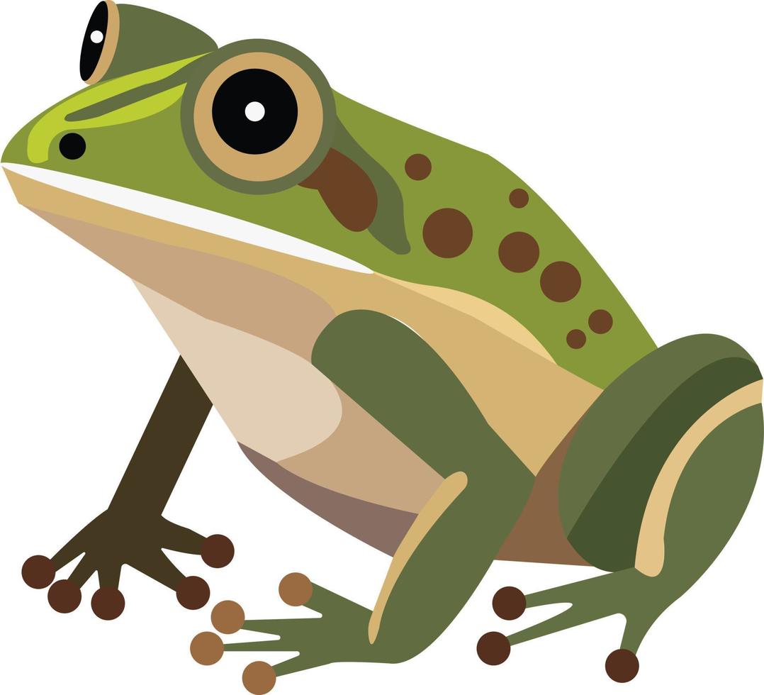 hand draw cartoon frog vector