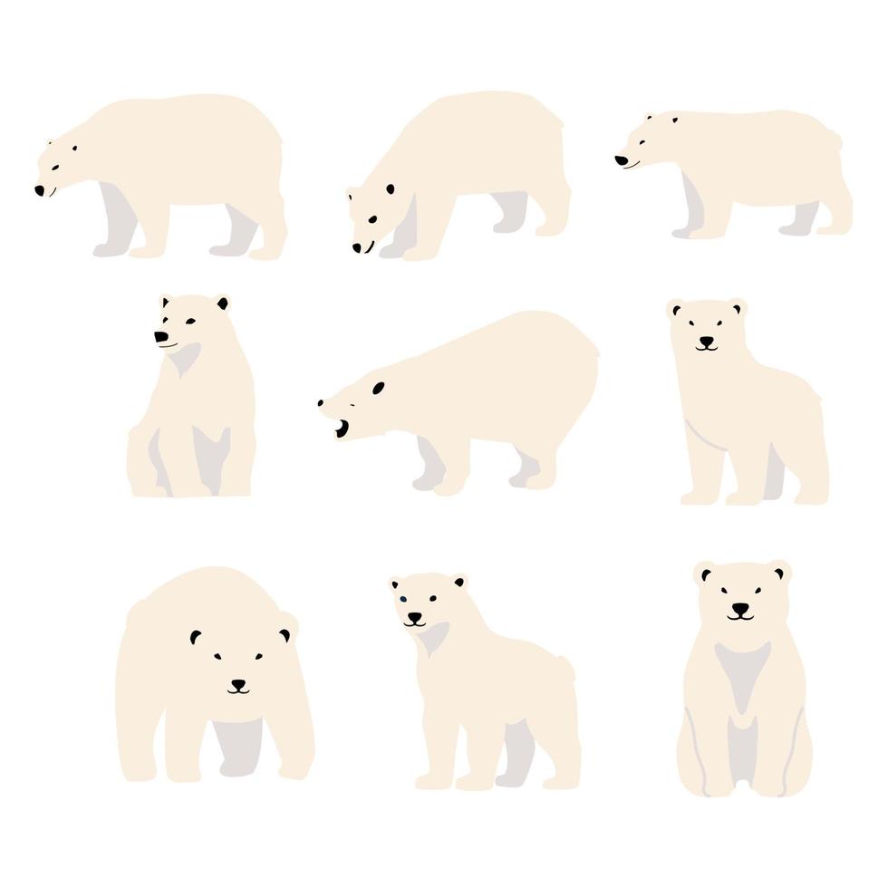 Polar bear character cartoon set vector