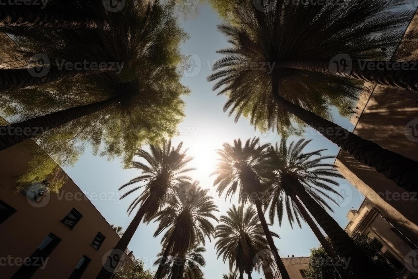 Palm tree silhouettes against sky, bottom view. photo