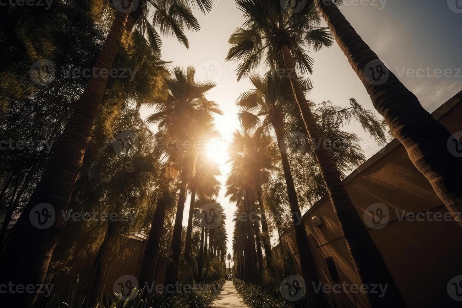Palm tree silhouettes against sky, bottom view. photo