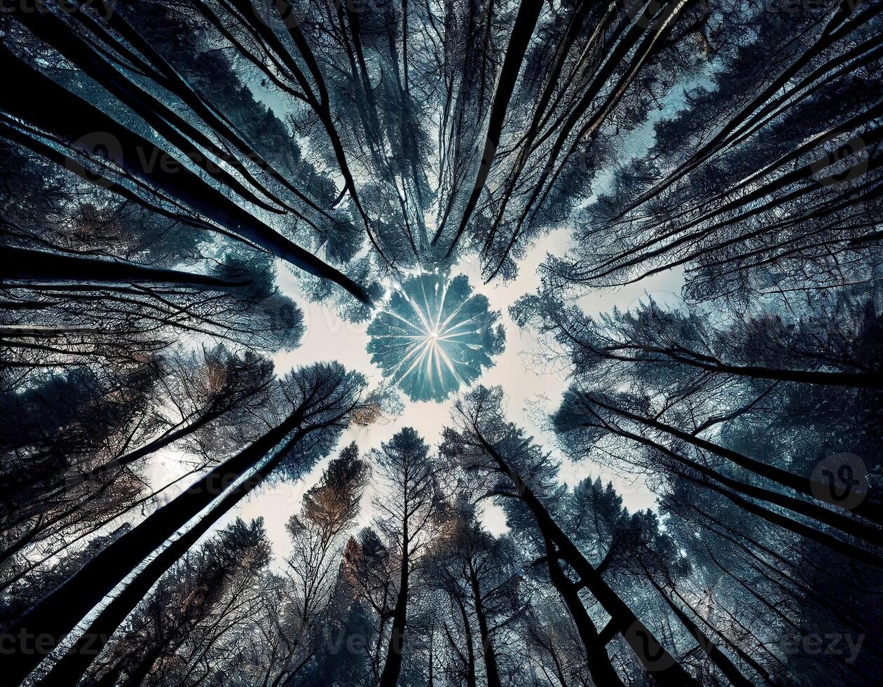 ángulo bajo ver de arboles en el bosque. ver de azul cielo mediante verde copas de los árboles, primavera temporada fondo, bajo ángulo vista. generativo ai. foto