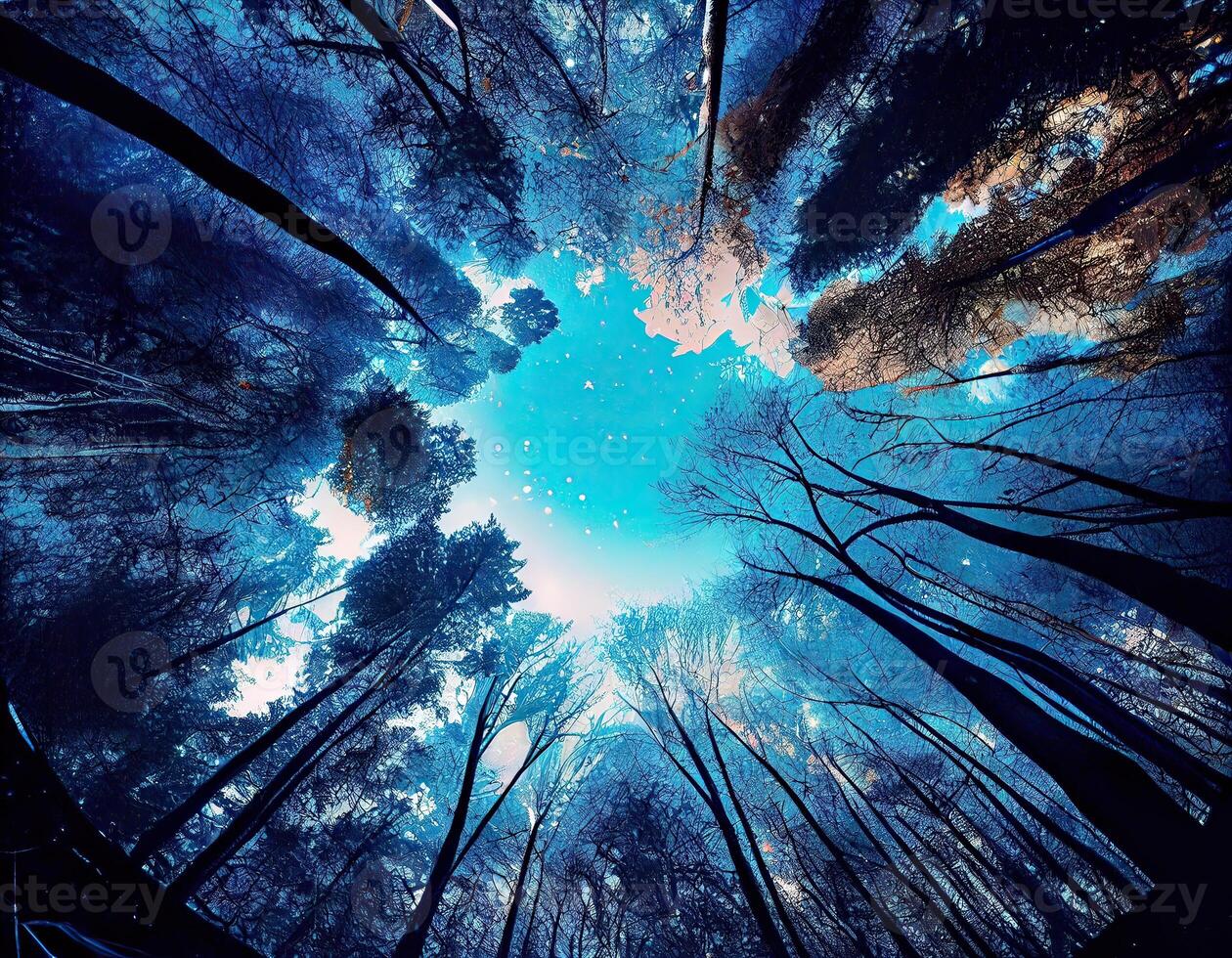 Low-angle view of trees in the forest. View of blue sky through green treetops, springtime season background, low angle view. . photo