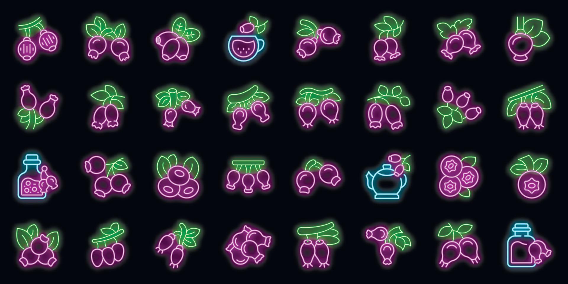 Rosehip icons set vector neon