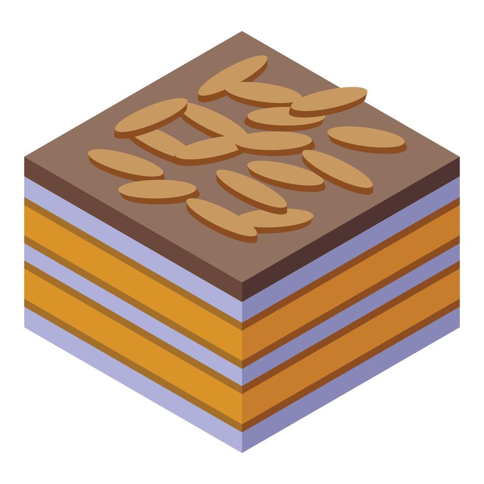 cacao Tiramisu icono isométrica vector. pastel postre vector