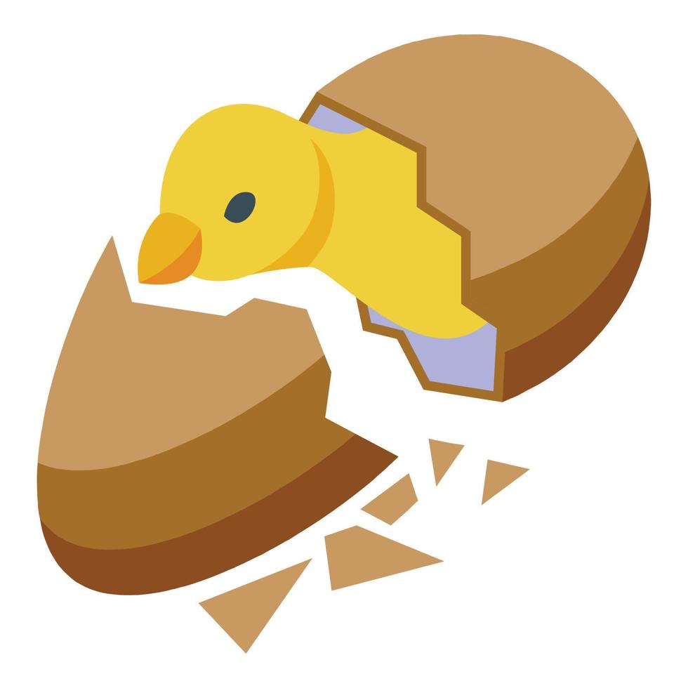 pequeño recién nacido icono isométrica vector. pollo huevo vector