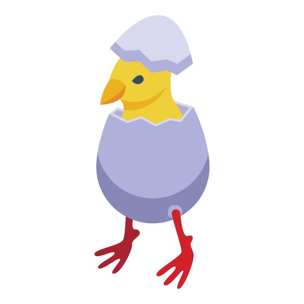Farm chick icon isometric vector. Chicken bird vector