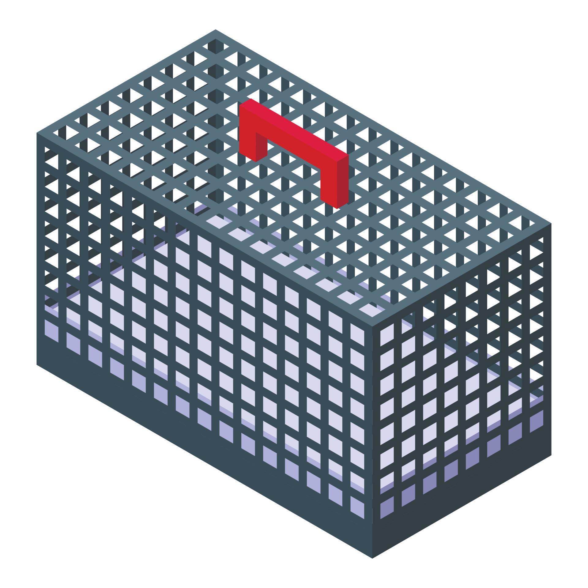 Pet cage icon isometric vector. Cat carrier 22593031 Vector Art at Vecteezy