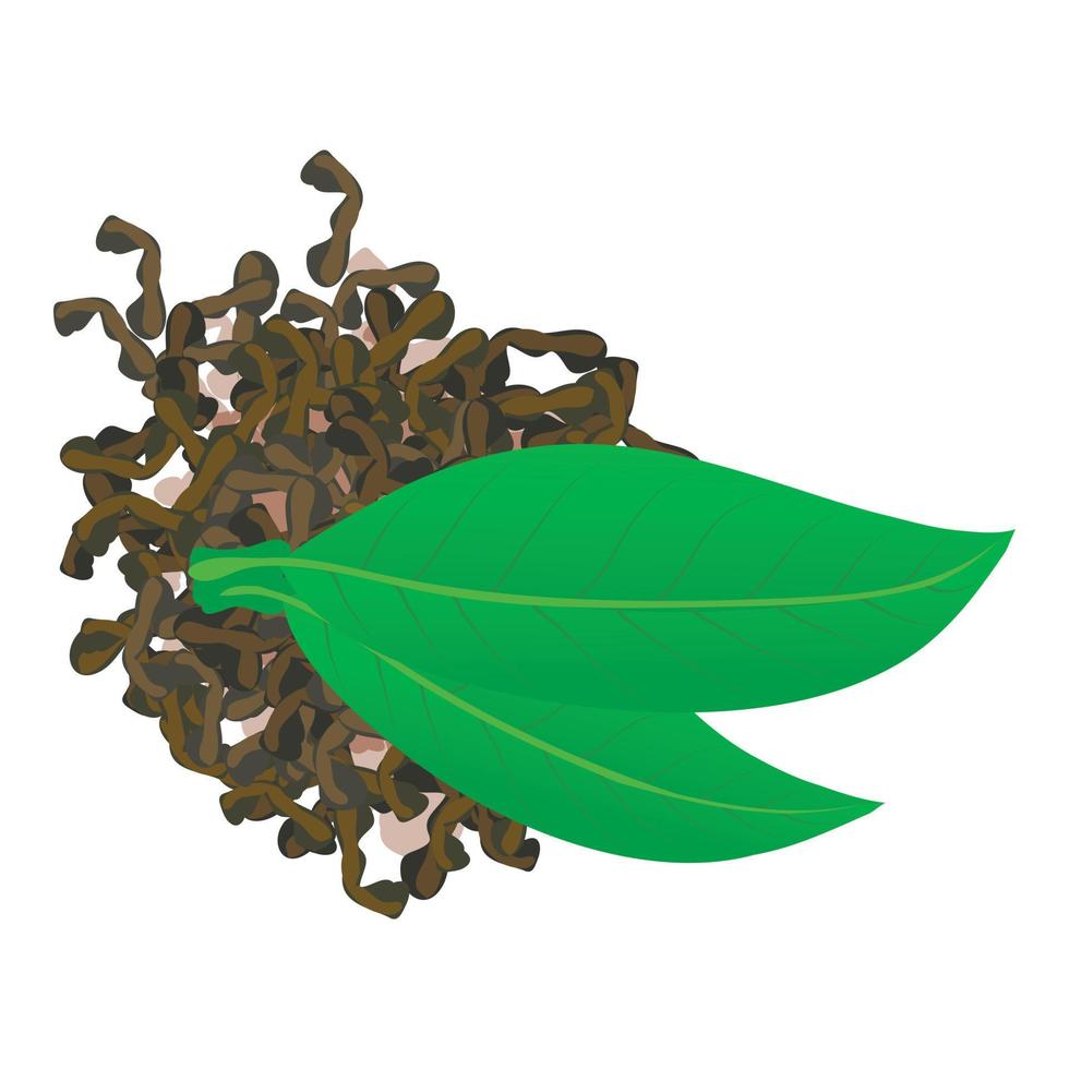 verde té icono isométrica vector. Fresco verde y seco hoja de té arbusto icono vector