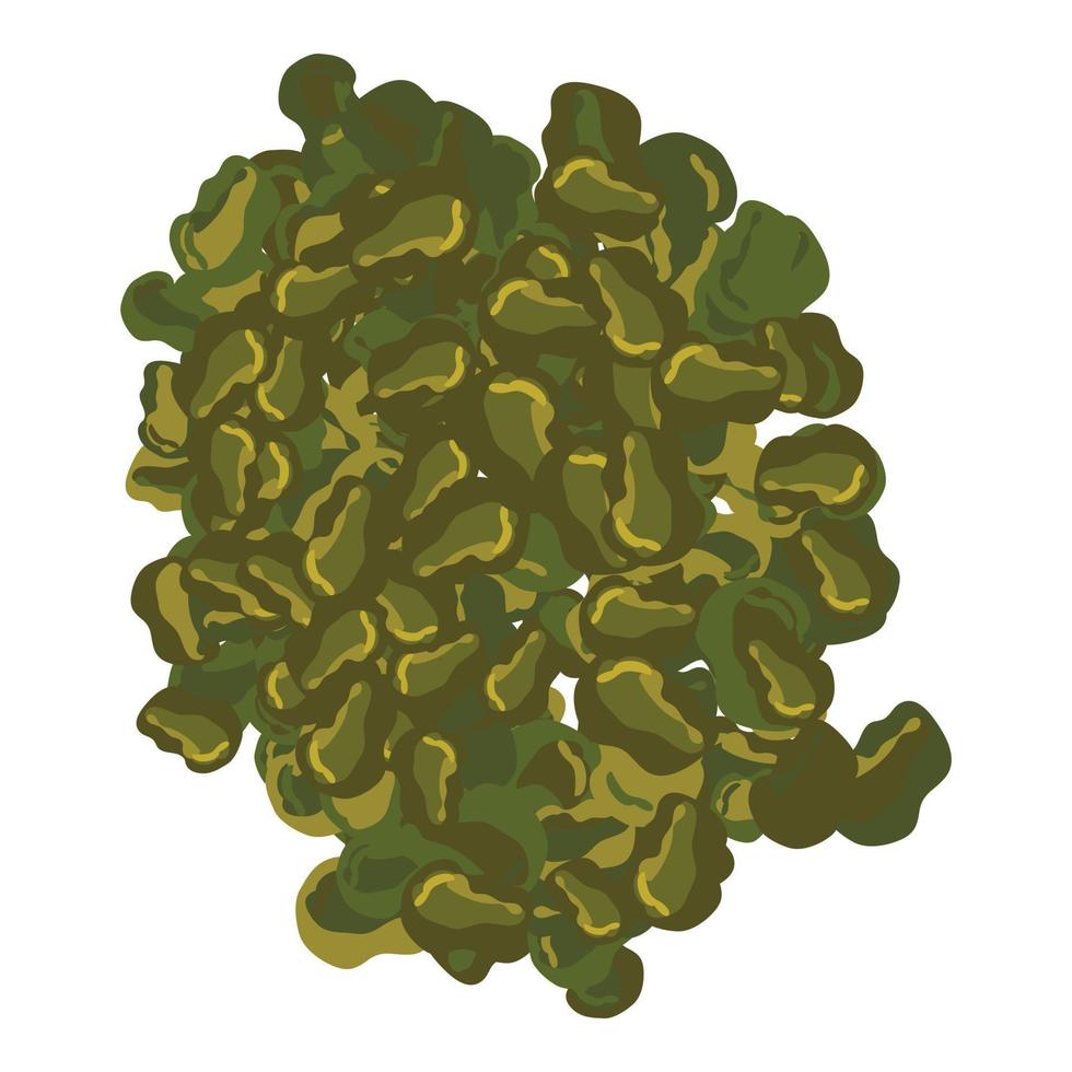 Dried seaweed icon isometric vector. Genus of seaweed from green algae class vector