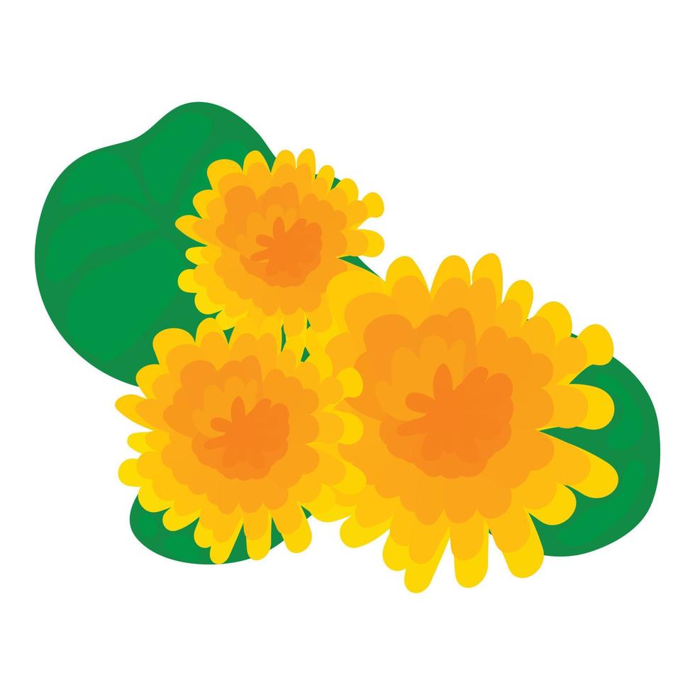 Dandelion flower icon isometric vector. Bright yellow dandelion flower with leaf vector