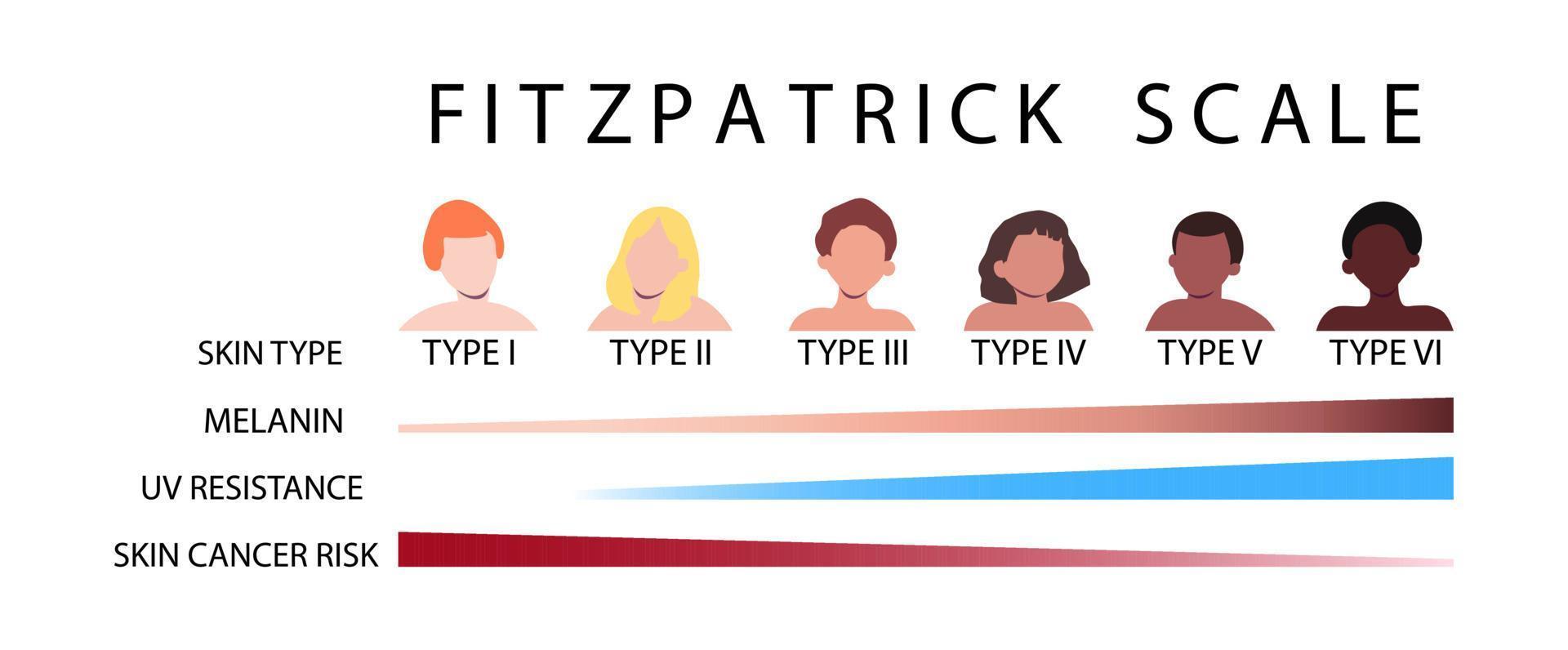 Fitzpatrick scale skin types infographic vector illustration