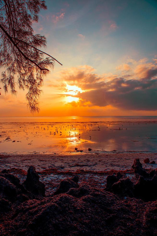SUNRISE IN AFRICA photo