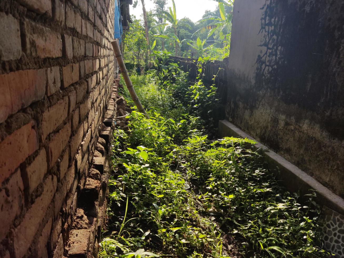 Wall Aisle on the side on the house photo
