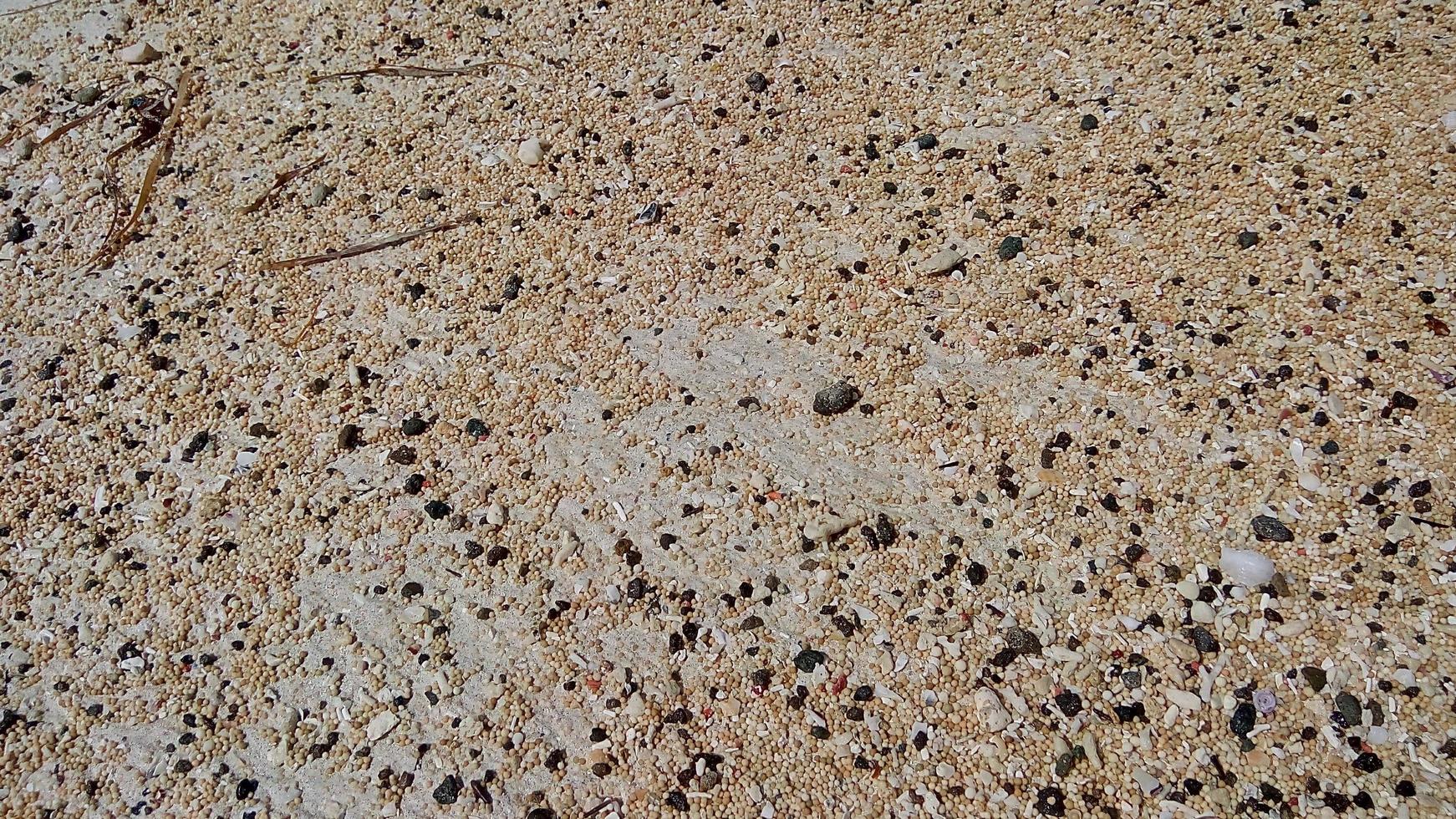 Beach Sand Texture with Gravel photo