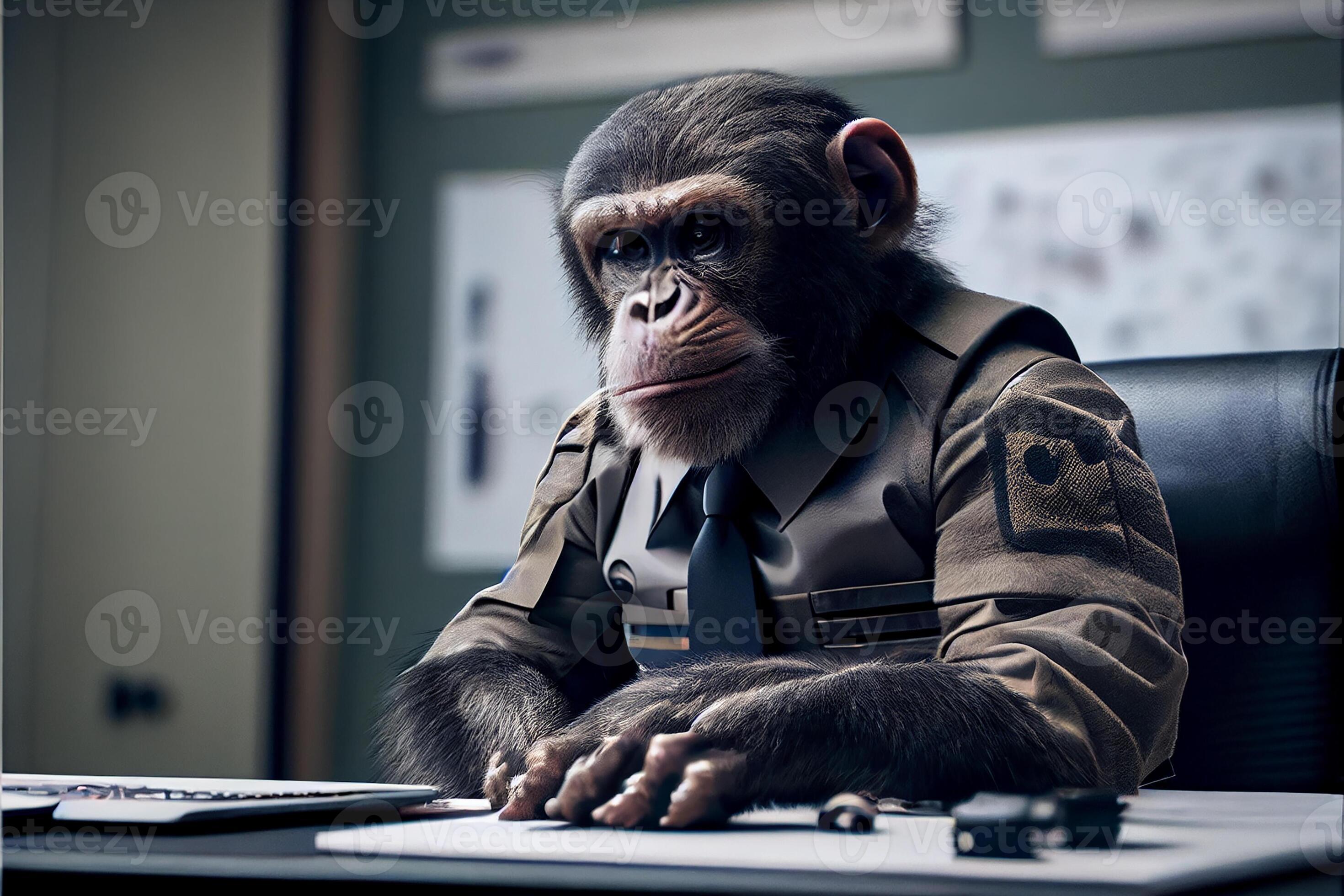 the-boss-monkey-in-the-office-suit-sits-at-his-desk-working-on-the