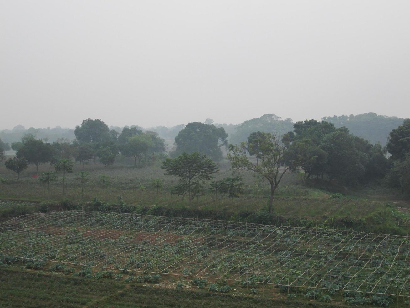 Natural Photo in bangladesh