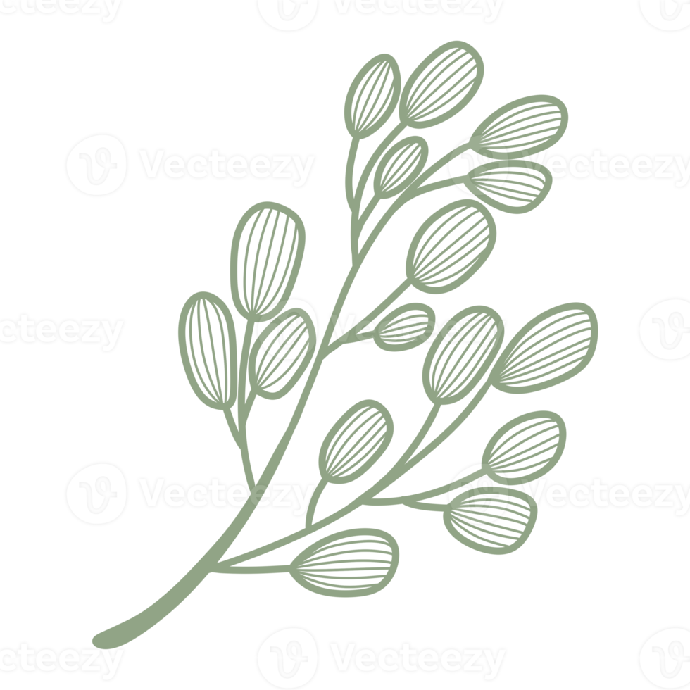 feuille de dessin au trait png