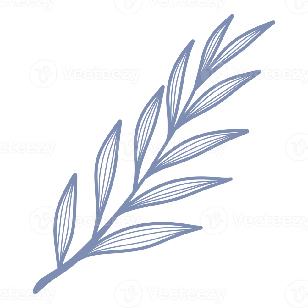 Line Art Leaf png