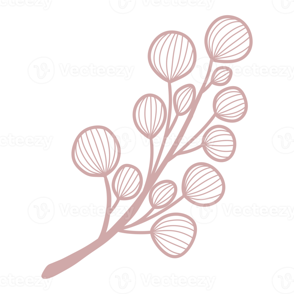 Line Art Leaf png