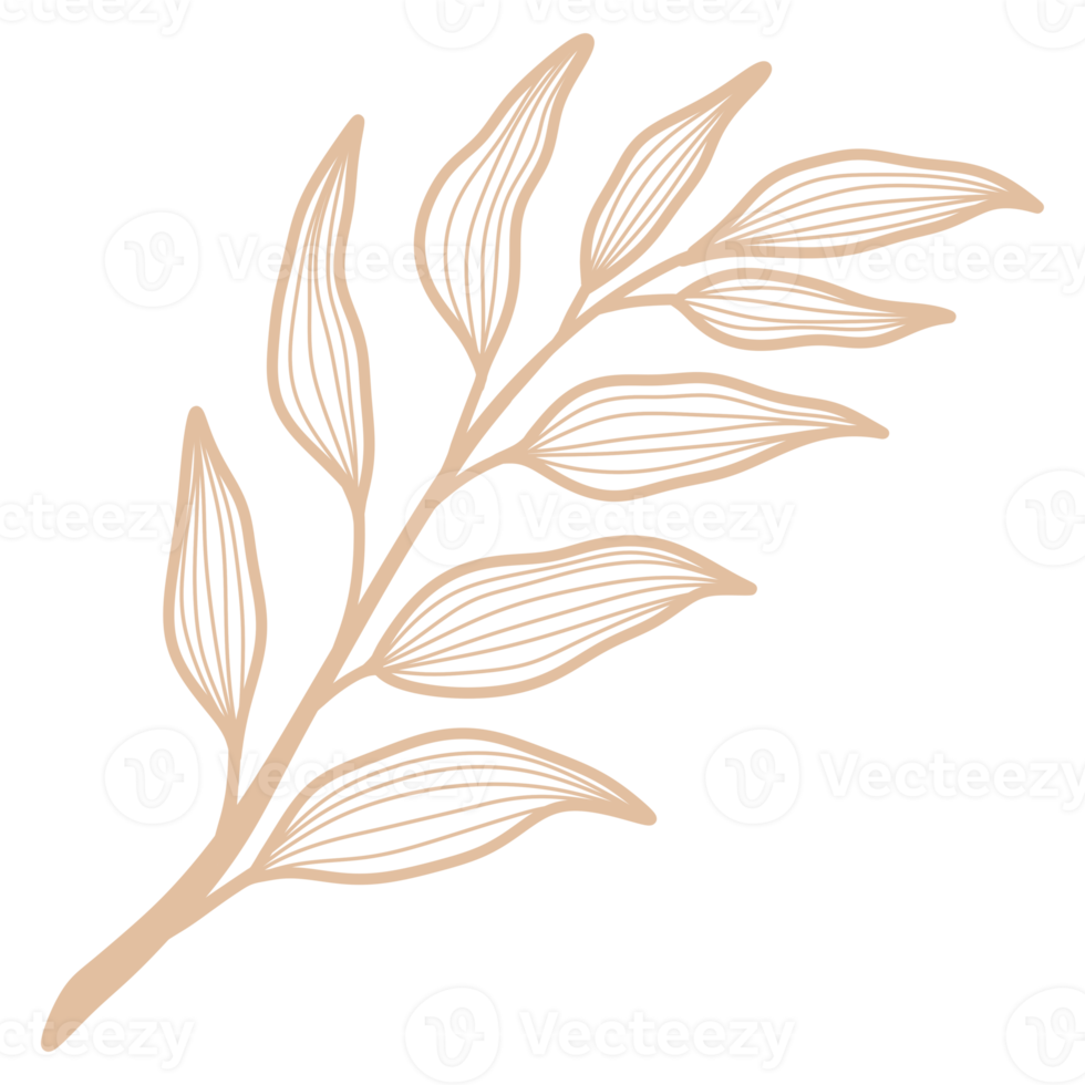 Line Art Leaf 22597630 PNG