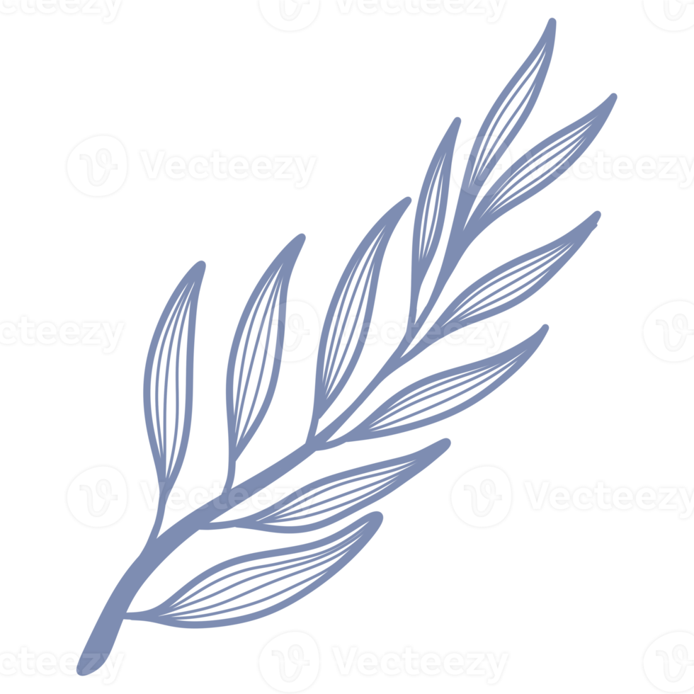 Line Art Leaf png