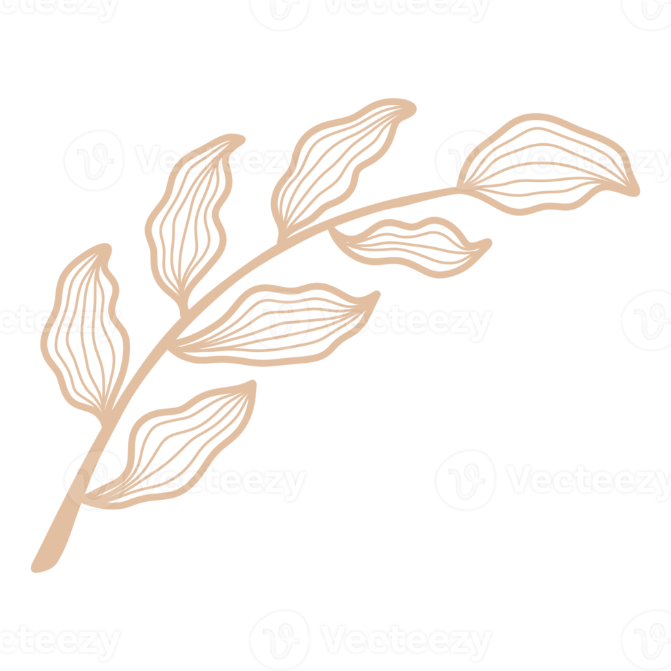 Line Art Leaf png