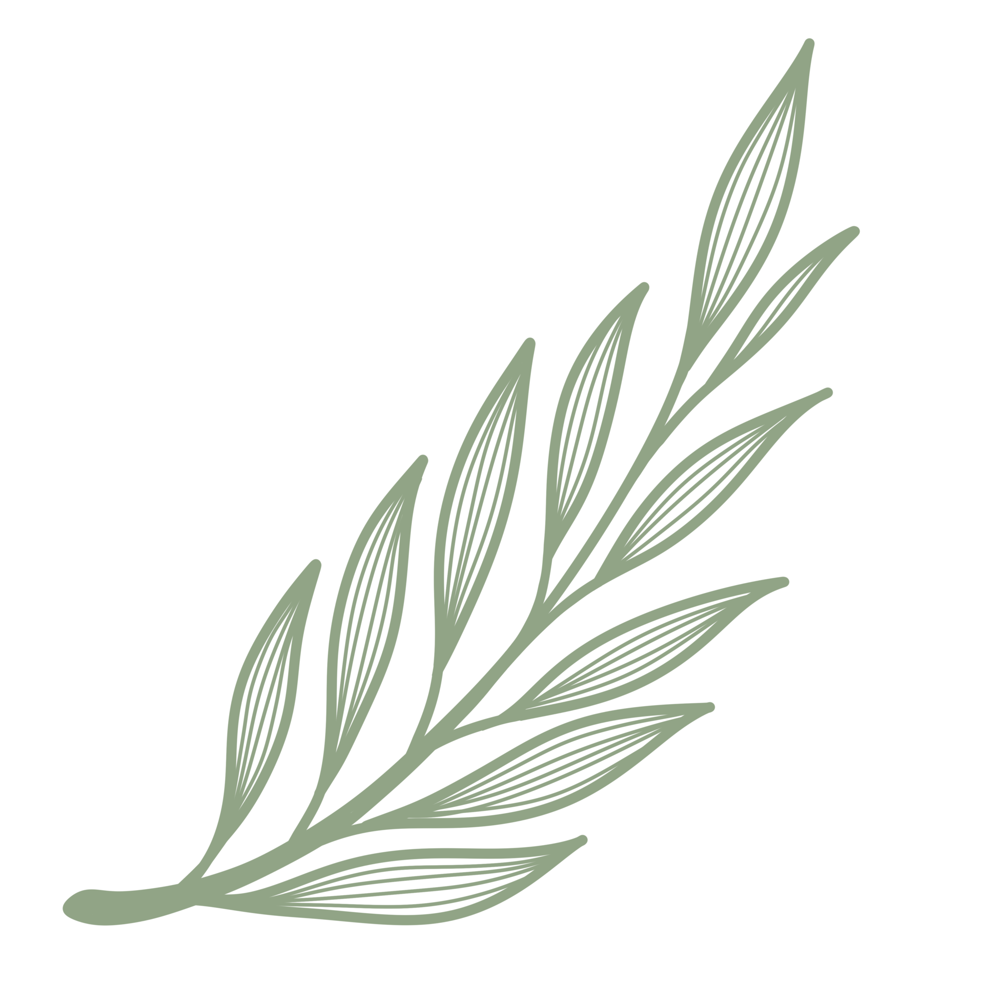 Line Art Leaf 22597642 PNG