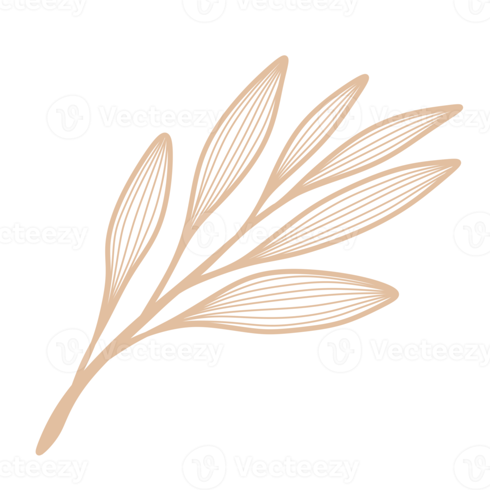 Line Art Leaf png
