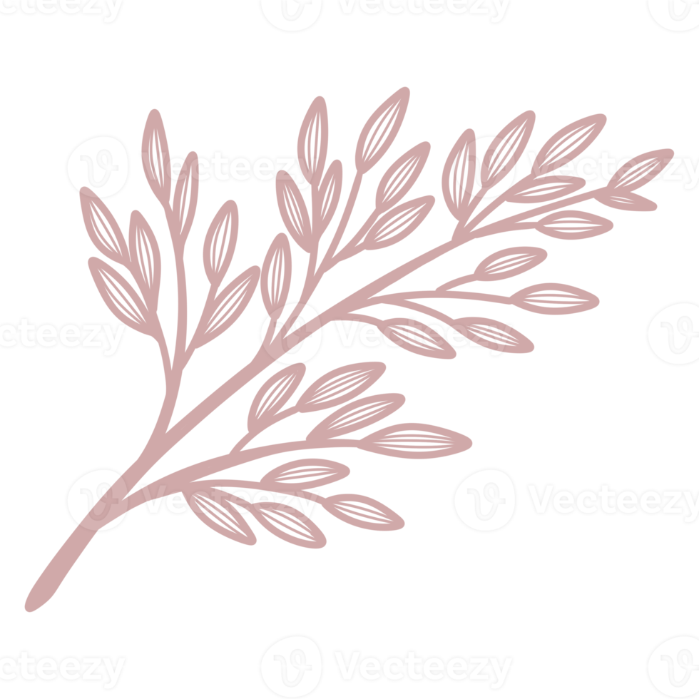 Line Art Leaf png
