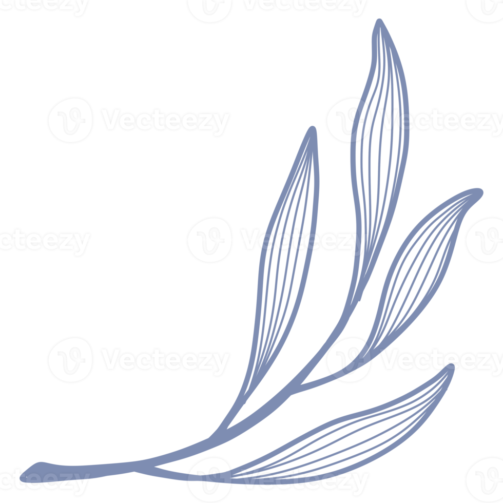 Line Art Leaf png