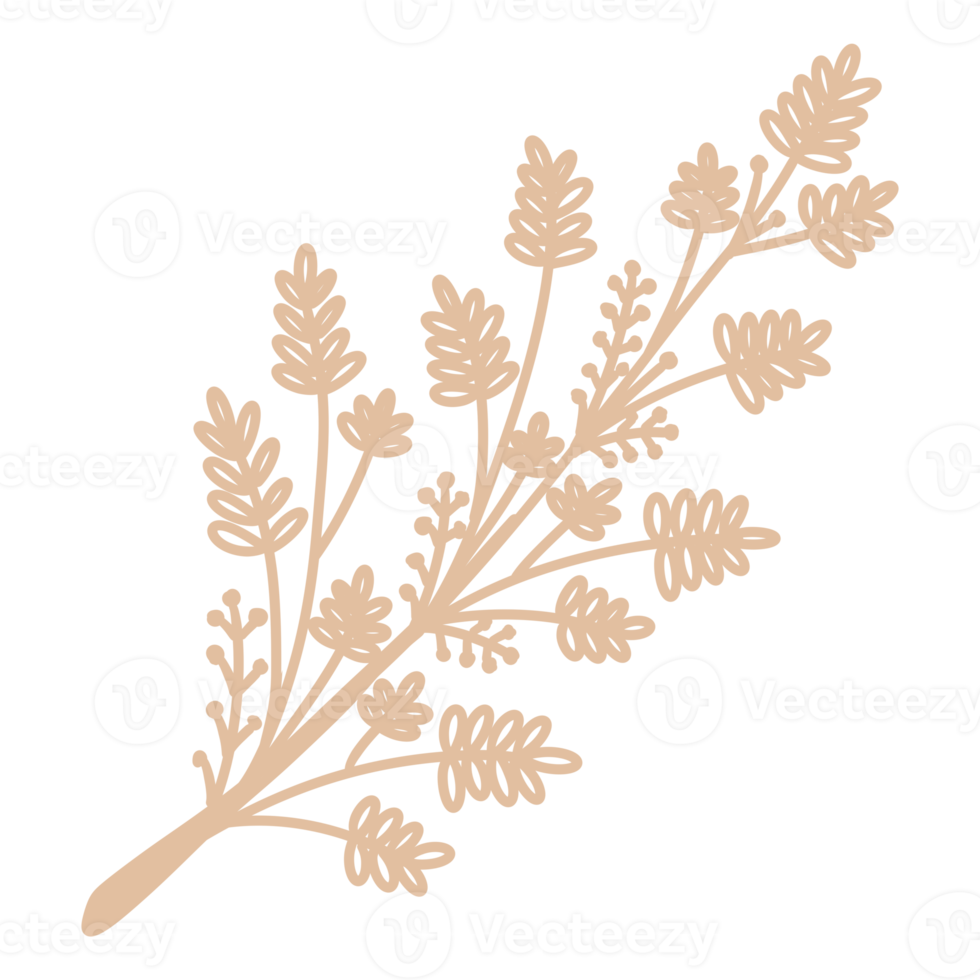 Line Art Leaf png