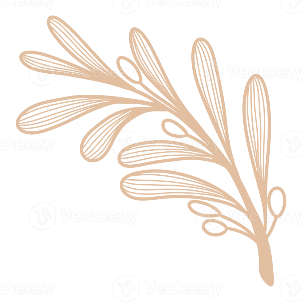 Line Art Leaf png
