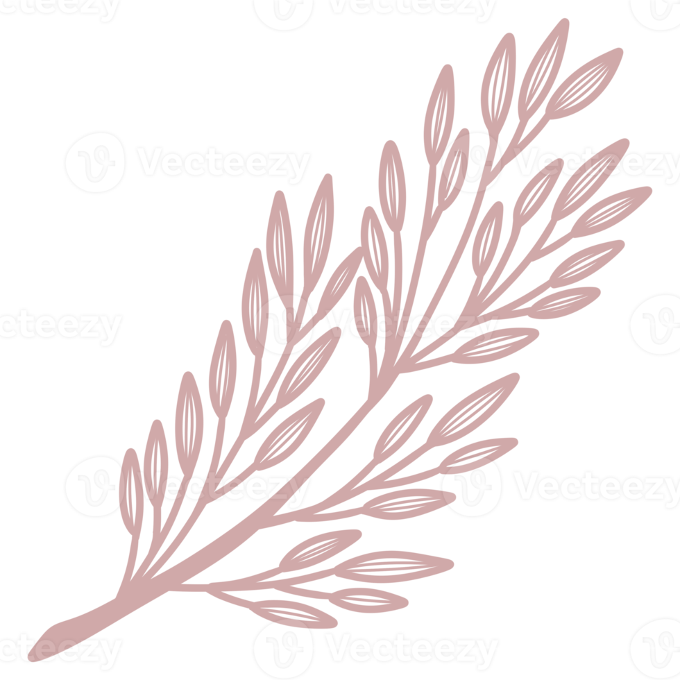 Line Art Leaf png
