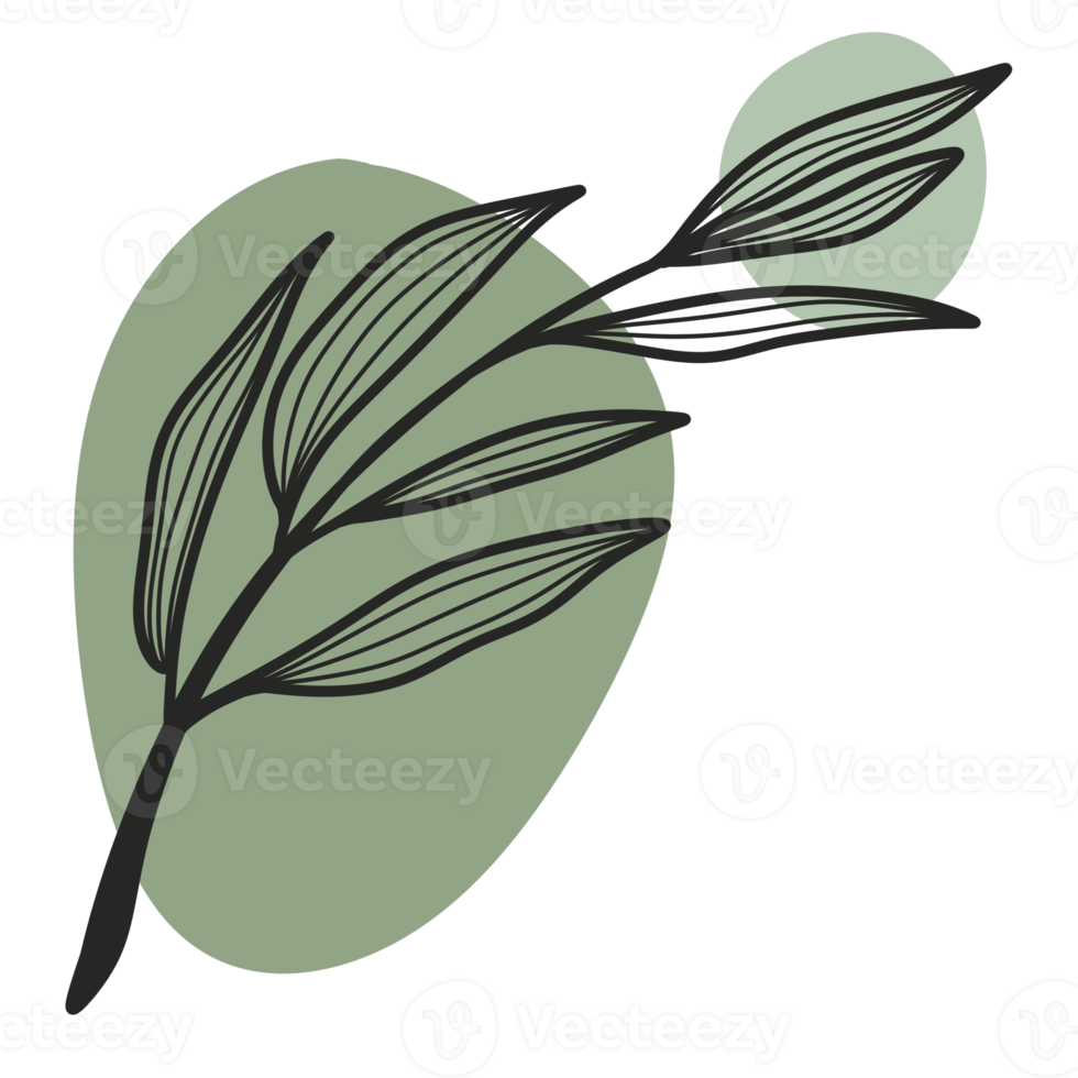 Line Art Leaf png