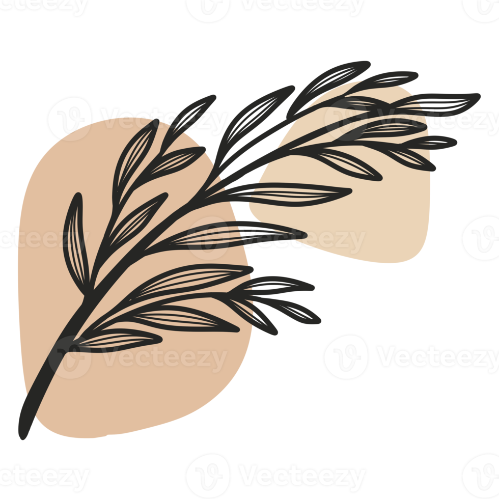Line Art Leaf png