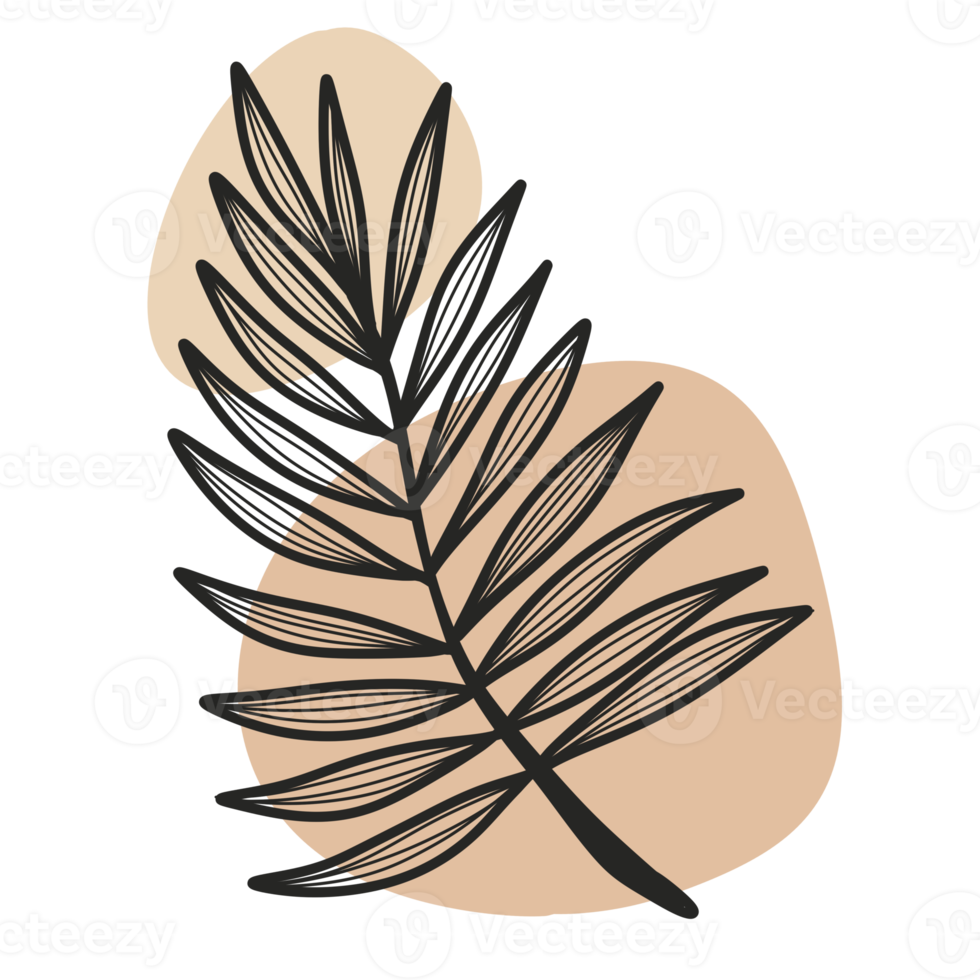 Line Art Leaf png