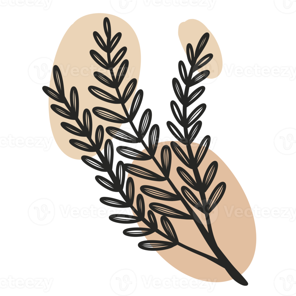 Line Art Leaf png